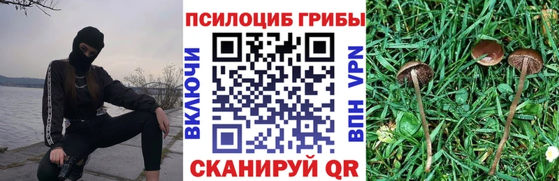 Псилоцибиновые грибы Cubensis Оса