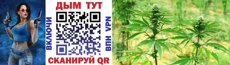 нарко площадка Telegram  купить наркотики сайты  Оса  Бошки Шишки сатива 